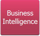 Business<br />Intelligence